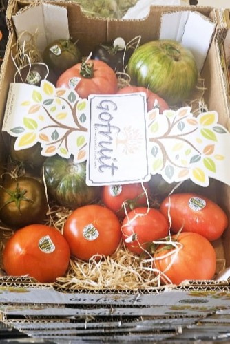 Zestaw Premium Pomidorów 3 kg | Mix Odmian