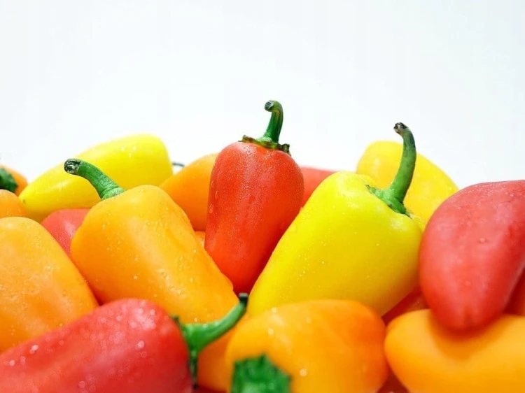 Mini Słodkie Papryki  1kg   żółta  czerwona  zielona Nietuzinkowy Przepis