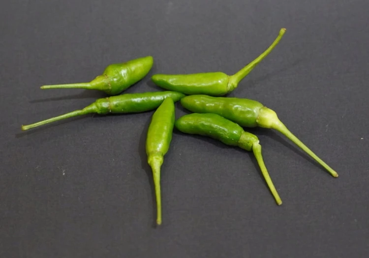 Papryczka chili piri piri zielona – wyrazista oraz pikantna 100 g