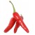 Papryczka chili piri piri czerwona – intensywny, pikantny smak 100 g