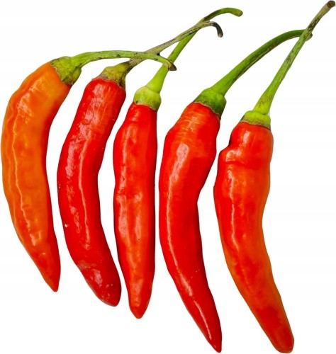 Papryczka chili piri piri czerwona – intensywny, pikantny smak 100 g