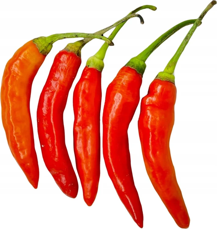 Papryczka chili piri piri czerwona – intensywny, pikantny smak 100 g