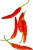 Papryczka chili piri piri czerwona – intensywny, pikantny smak 100 g