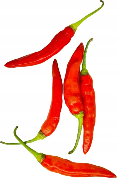 Papryczka chili piri piri czerwona – intensywny, pikantny smak 100 g