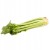Seler naciowy ŚWIEŻY - nać, celery, chrupiący - Hiszpania 1 szt.