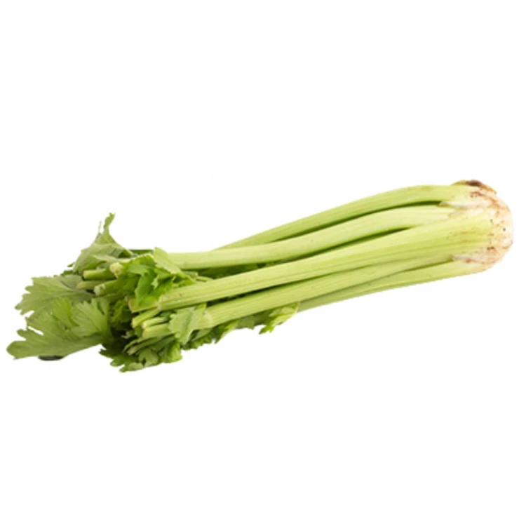 Seler naciowy ŚWIEŻY - nać, celery, chrupiący - Hiszpania 1 szt.