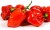 Papryka, chili habanero czerwona 0,1 kg Holandia