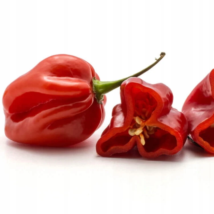 Papryka, chili habanero czerwona 0,1 kg Holandia