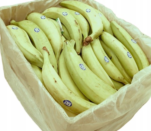 Banany plantany świeże warzywne zielone banan warzywny do gotowania 1 kg