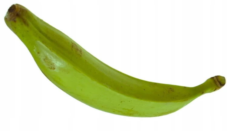 Banany plantany świeże warzywne zielone banan warzywny do gotowania 1 kg