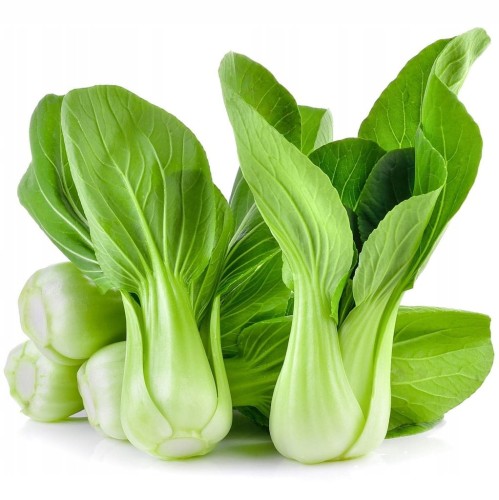 Shanghai pak choi, pak choy – chrupiąca kapusta chińska 0,5 kg