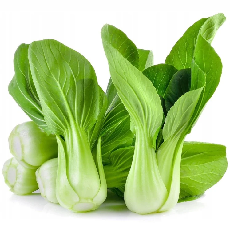 Shanghai pak choi, pak choy – chrupiąca kapusta chińska 0,5 kg