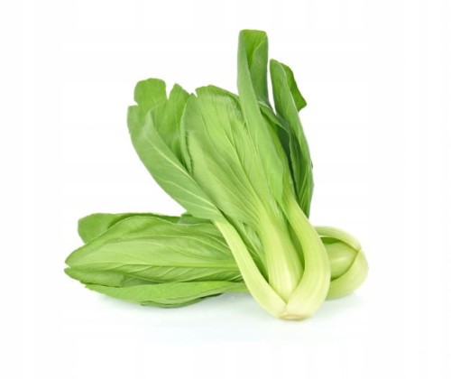 Shanghai pak choi, pak choy – chrupiąca kapusta chińska 0,5 kg