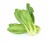 Shanghai pak choi, pak choy – chrupiąca kapusta chińska 0,5 kg