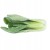 Shanghai pak choi, pak choy – chrupiąca kapusta chińska 0,5 kg