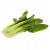 Shanghai pak choi, pak choy – chrupiąca kapusta chińska 0,5 kg