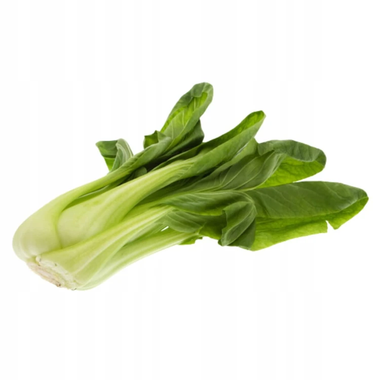 Shanghai pak choi, pak choy – chrupiąca kapusta chińska 0,5 kg