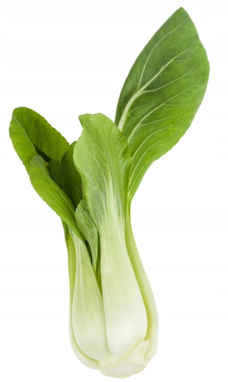 Shanghai pak choi, pak choy – chrupiąca kapusta chińska 0,5 kg
