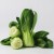 Shanghai pak choi, pak choy – chrupiąca kapusta chińska 0,5 kg