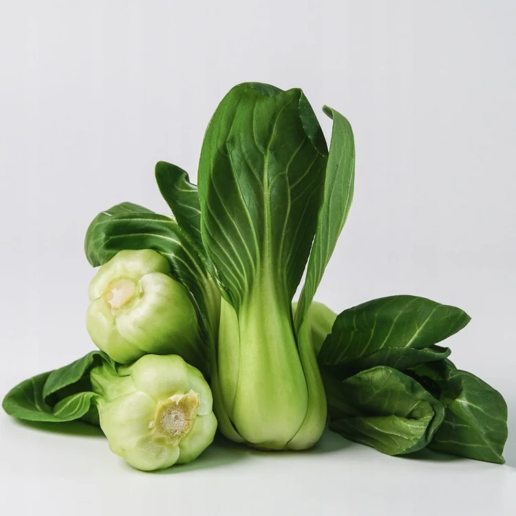 Shanghai pak choi, pak choy – chrupiąca kapusta chińska 0,5 kg