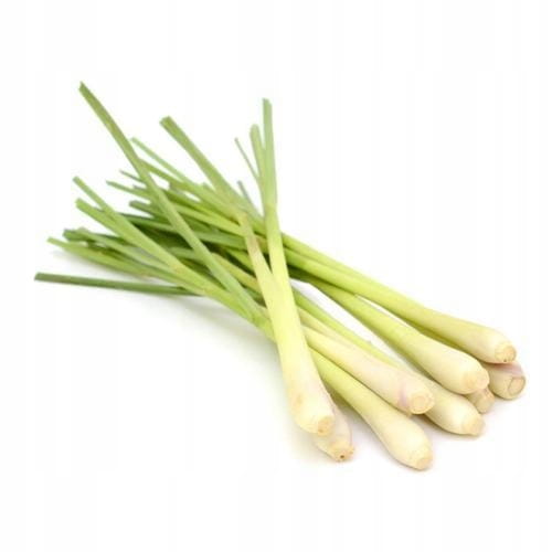 Trawa cytrynowa świeża 0,5 kg