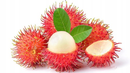 Rambutan 1 sztuka