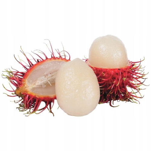Rambutan 1 sztuka