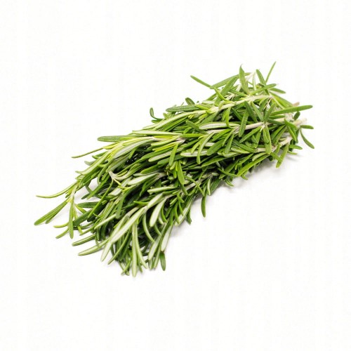 Świeży rozmaryn 100 gram