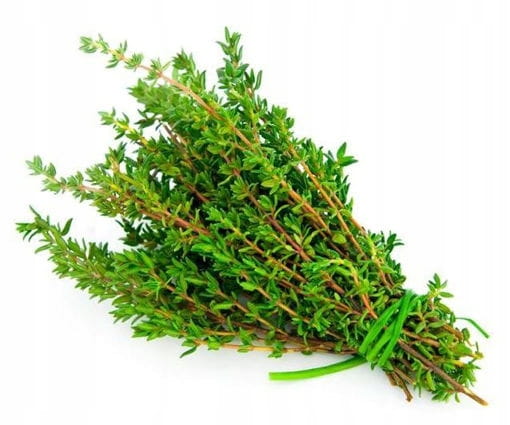 Świeży tymianek 100 gram