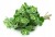 Świeże oregano 100 gram