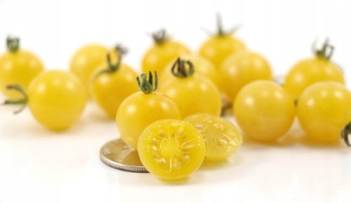 Pomidor cherry żółty 250 gram