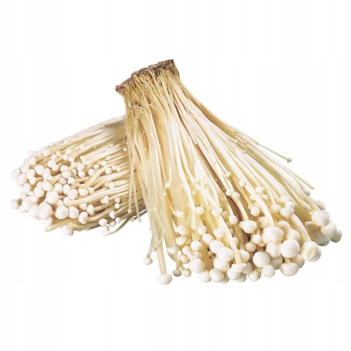 Grzyby enoki 100 g DANIA