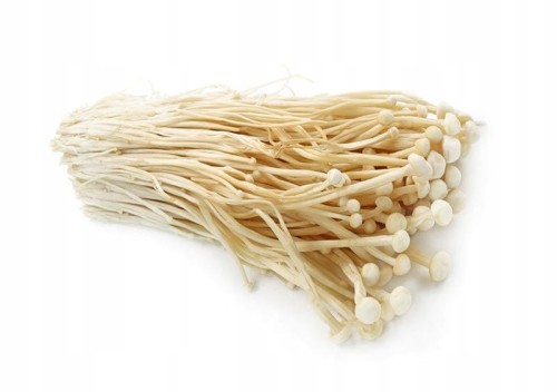 Grzyby enoki 100 g DANIA