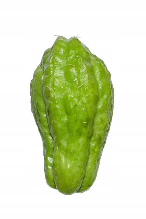 CHAYOTE 1 SZT
