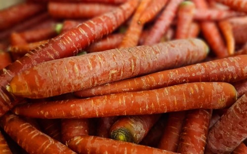 Marchew czerwona Redsun 0,5kg