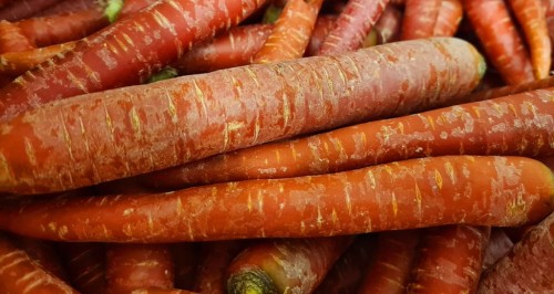 Marchew czerwona Redsun 0,5kg