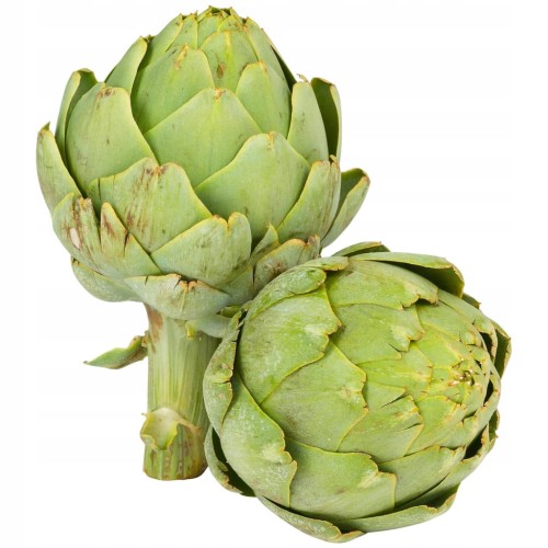 Świeży Karczoch - Delikates warzywny z Francji i Hiszpanii artichoke 1 szt.
