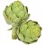 Świeży Karczoch - Delikates warzywny z Francji i Hiszpanii artichoke 1 szt.