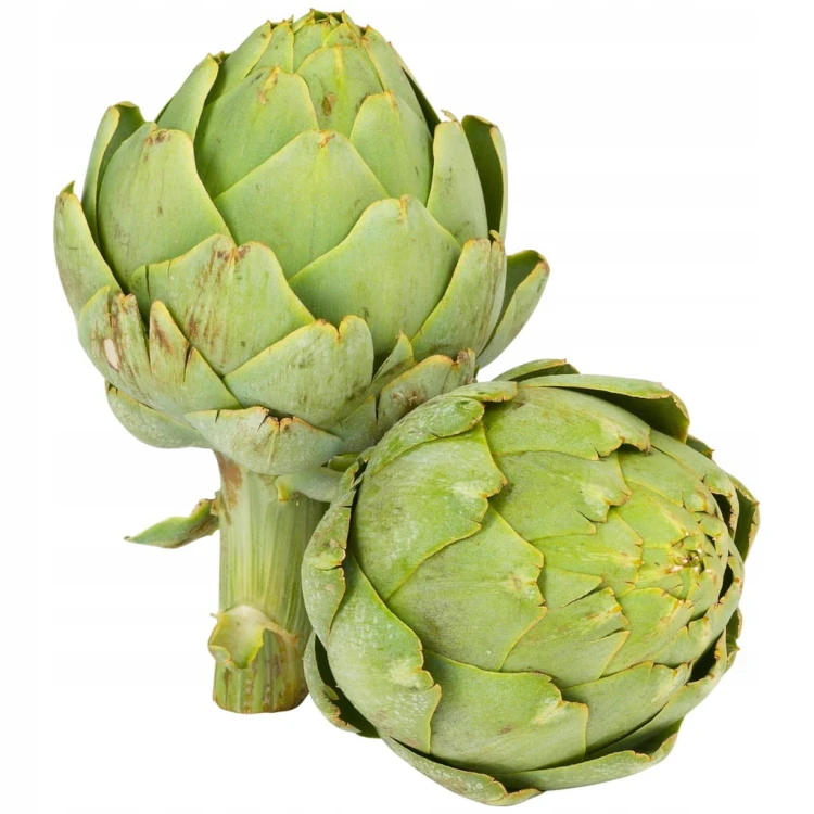 Świeży Karczoch - Delikates warzywny z Francji i Hiszpanii artichoke 1 szt.