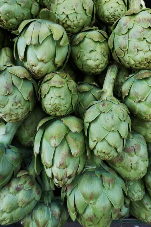 Świeży Karczoch - Delikates warzywny z Francji i Hiszpanii artichoke 1 szt.