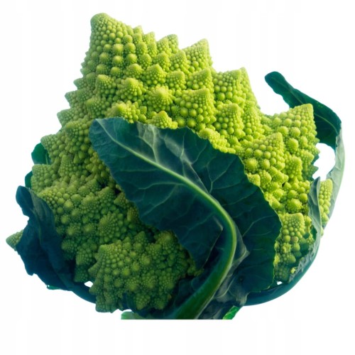 Kalafior Romanesco zielony kalafior - Unikalny smak i struktura 1 szt.