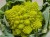 Kalafior Romanesco zielony kalafior - Unikalny smak i struktura 1 szt.