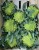 Kalafior Romanesco zielony kalafior - Unikalny smak i struktura 1 szt.