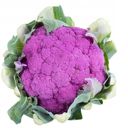 Kalafior fioletowy - Unikalny wygląd i smak! purple cauliflower 1 szt.