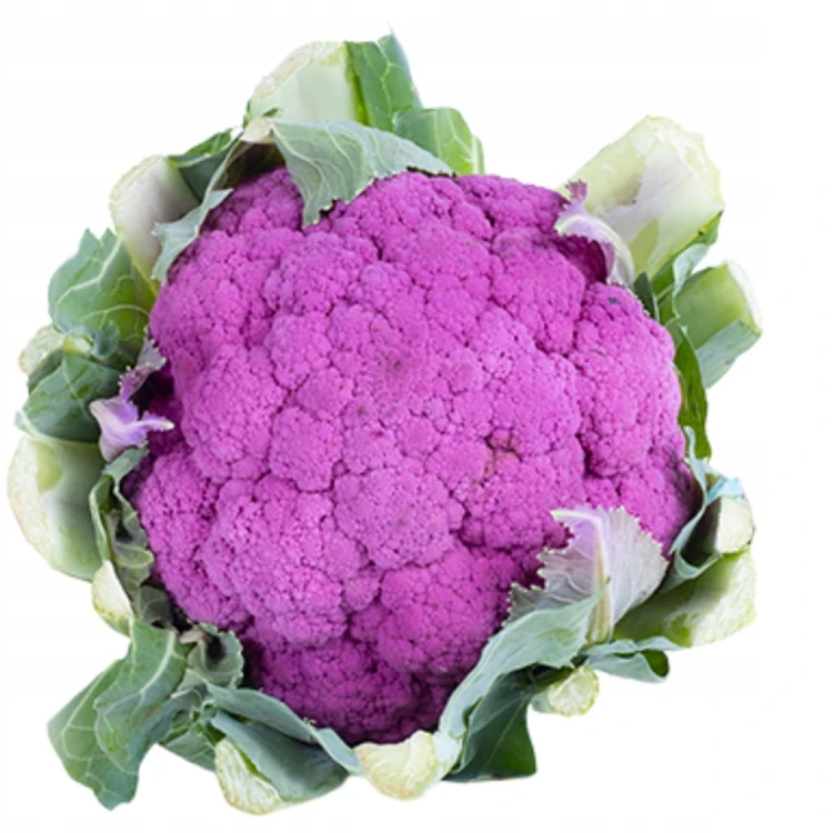 Kalafior fioletowy - Unikalny wygląd i smak! purple cauliflower 1 szt.