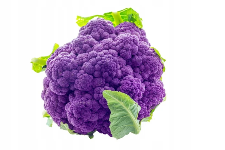 Kalafior fioletowy - Unikalny wygląd i smak! purple cauliflower 1 szt.
