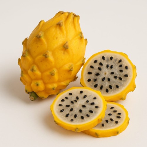 pitahaja żółga.jpeg