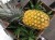 Ananas Lotniczy – Maybach wśród ananasów