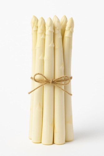Szparaga biała – pęczek 500g